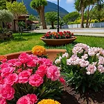 Antonietta Ischia 3*